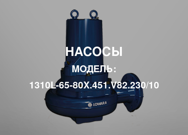 Модель: 1310L-65-80X.451.V82.230/10